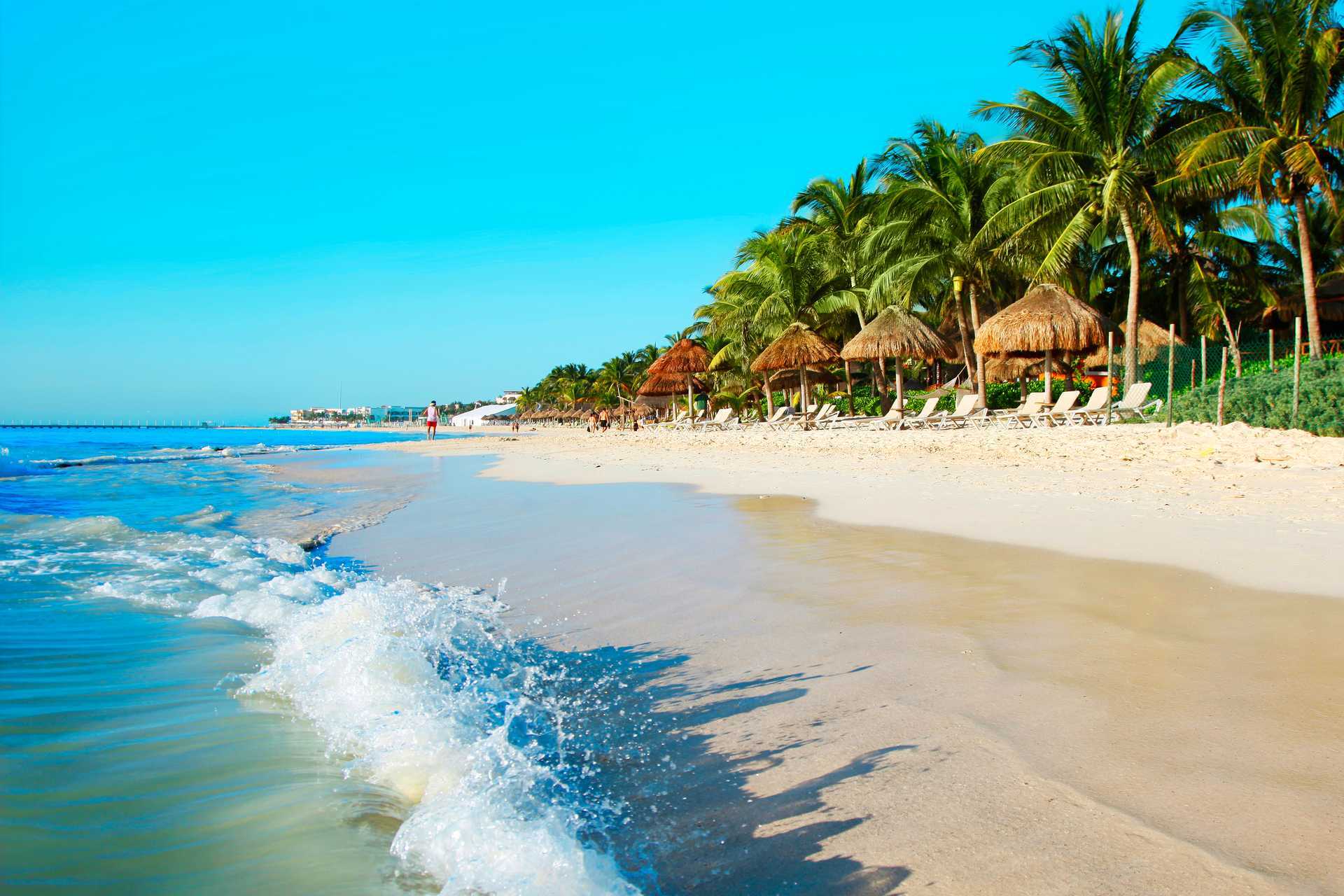Praia de resort com espreguiçadeiras alinhadas e palapas à sombra